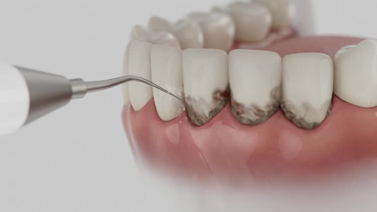 Reliable Dental contractor in Romulus, MI by Dentist Open Now